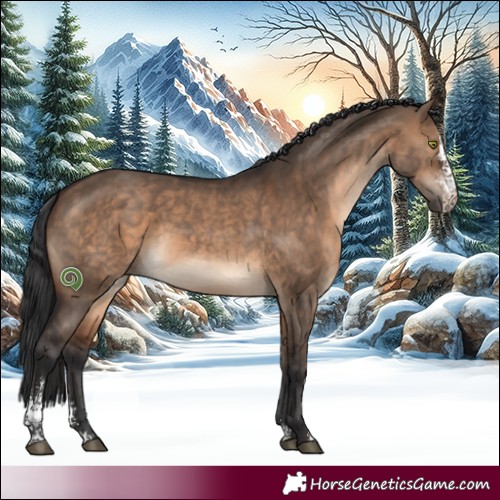 Horse Color:Brown Dun Sabino