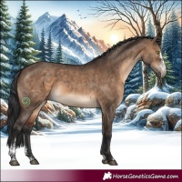 Horse Color:Brown Dun Sabino 