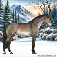 Horse Color:Brown Roan Dun 