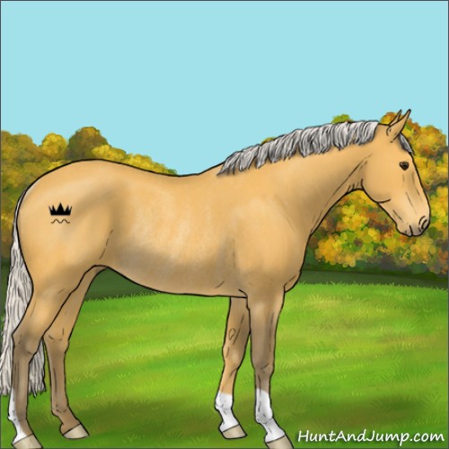 Horse Color:Silver Buckskin Rabicano