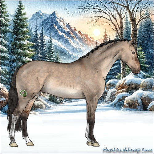 Horse Color:Brown Dun Tobiano 
