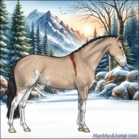 Horse Color:Brown Dun Sabino