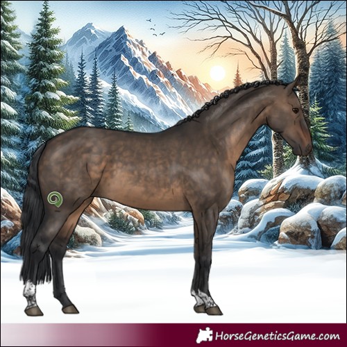 Horse Color:Brown Dun Tobiano 