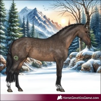 Horse Color:Brown Dun Tobiano 