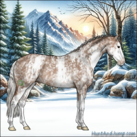 Horse Color:White Spotted Silver Grullo Sabino Rabicano