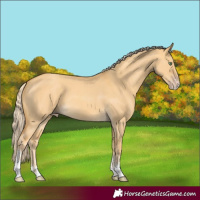Horse Color:Gold Cream Champagne Dun Sabino 