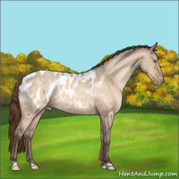 Horse Color:Amber Champagne Dun Near Leopard 