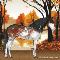 Horse Color:Brown Sabino