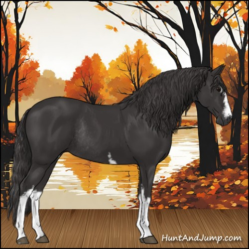 Horse Color:White Spotted Smoky Black Sabino Rabicano