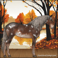 Horse Color:White Spotted Liver Chestnut Sabino