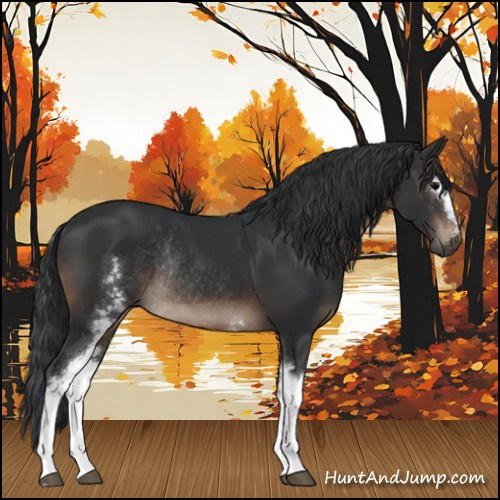 Horse Color:White Spotted Brown Sabino Rabicano