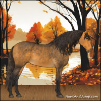 Horse Color:Buckskin Sabino Rabicano