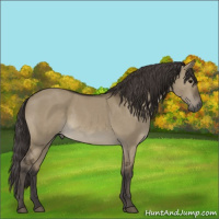 Horse Color:Smoky Grullo Sabino Rabicano