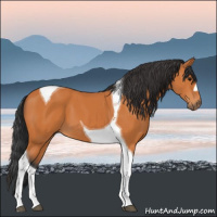 Horse Color:Bay Tobiano 