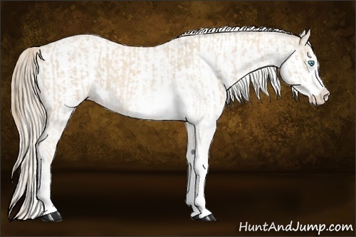 Horse Color:Cremello Sabino  and Smoky Creme Sabino 