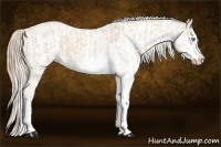 Horse Color:Cremello Sabino  and Smoky Creme Sabino 