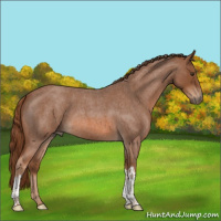 Horse Color:Red Roan 