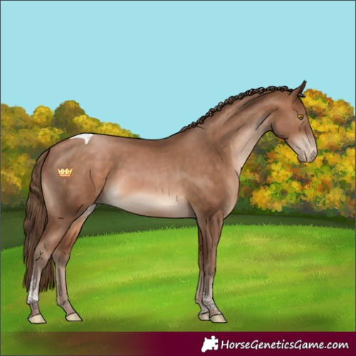 Horse Color:Brown Pearl Tobiano 