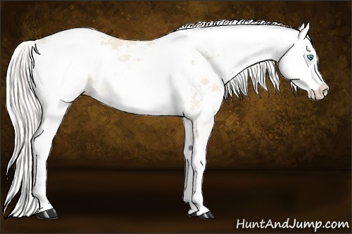 Horse Color:Cremello Sabino  and Cremello Sabino 