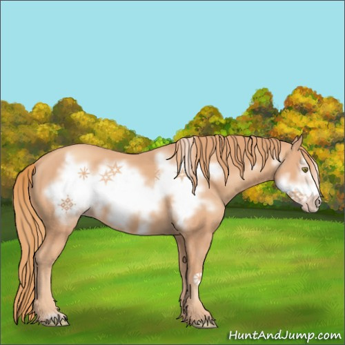 Horse Color:Gold Champagne Frame 