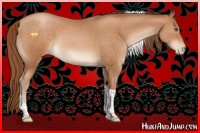 Horse Color:Brown Pearl Tobiano 