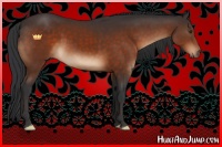 Horse Color:Brown Sabino Rabicano 