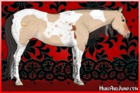 Horse Color:Brown Dun Tobiano 