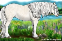 Horse Color:Cremello Sabino  and Cremello Sabino 