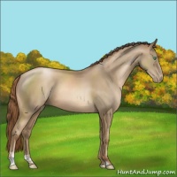 Horse Color:Smoky Black Pearl Sabino 