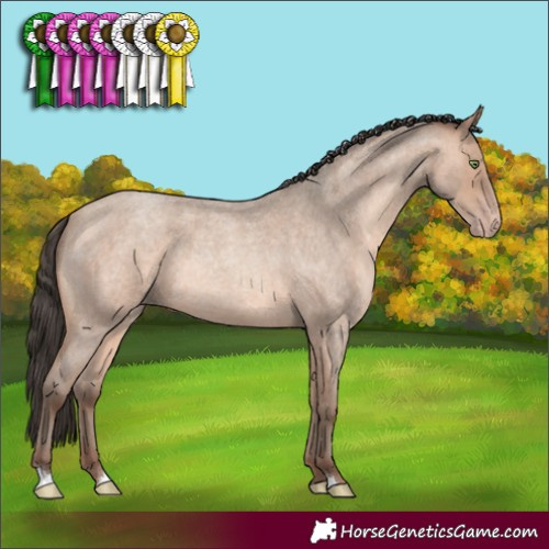 Horse Color:Amber Champagne Roan 
