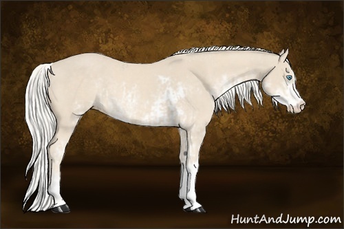 Horse Color:Cremello Sabino  and Cremello Sabino 