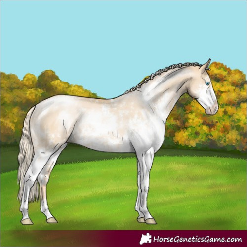 Horse Color:Palomino Pearl Dun Sabino Rabicano