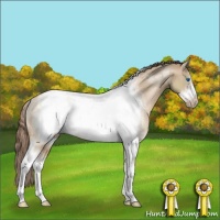 Horse Color:Liver Red Dun Pearl Sabino Tobiano Frame Rabicano 