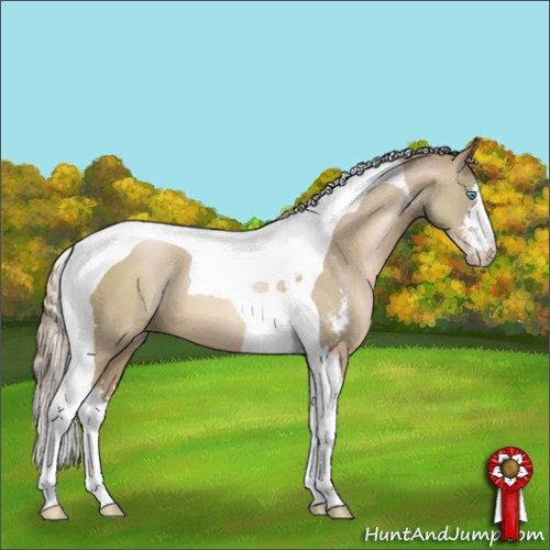 Horse Color:Chocolate Palomino Pearl Sabino Tobiano 