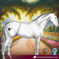 Horse Color:Buckskin Dun Mushroom Splash Tobiano Appaloosa