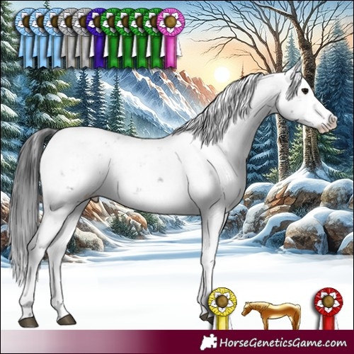 Horse Color:Black Sabino