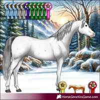 Horse Color:Black Sabino