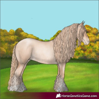Horse Color:Gold Champagne Roan Pearl Rabicano  and Gold Champagne Roan Pearl Rabicano 
