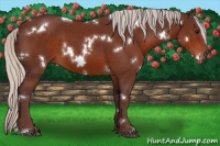 Horse Color:White Spotted Chocolate Silver Brown 
