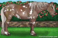 Horse Color:White Spotted Chocolate Silver Black