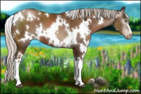 Horse Color:Gray White Spotted Silver Brown Pearl 