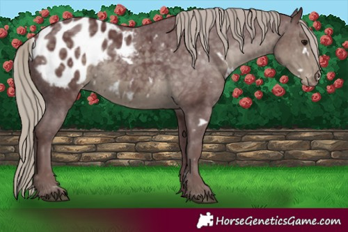 Horse Color:White Spotted Chocolate Silver Smoky Black Blanket