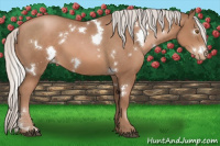 Horse Color:White Spotted Chocolate Silver Black Pearl