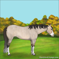 Horse Color:Bay Roan Dun Splash