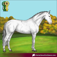 Horse Color:Liver Chestnut Sabino