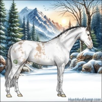Horse Color:Brown Dun Sabino 