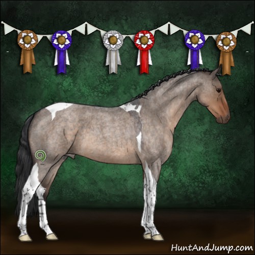 Horse Color:Brown Roan Dun Tobiano