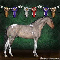 Horse Color:Brown Roan Dun Tobiano 