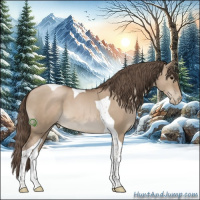 Horse Color:Grullo Pearl Sabino Tobiano
