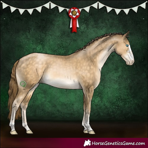 Horse Color:Buckskin Pearl Sabino 
